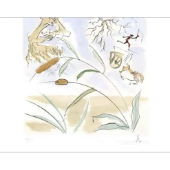 DALI Salvador - Gravure originale "Le chêne et la roseau" 56x76cm - 1974 - Vélin