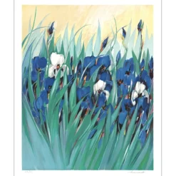 HEMERET Claude - Lithographie originale "Champ d'Iris" 93x75cm