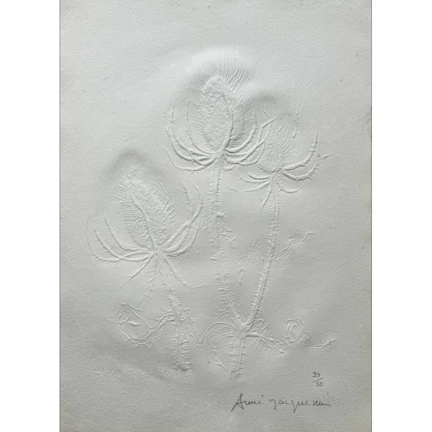 JACQUEMIN André - Empreinte originale "Chardons Lorrains " 50x34cm - 1979