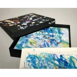 JONONE - Coffret "Poetry in Motion" (Peinture + sérigraphie rehaussée (unique) signée + ouvrage)
