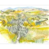 JOURNOD Monique - Dessin original au fusain "Oliviers en Toscane" 42x56cm