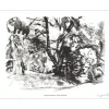 LEGUEULT Raymond - Lithographie signée au crayon "Forêt Normande" 27x21cm - 1961