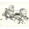 MORETTI Raymond - Dessin original à l'encre "Composition GD18" 50x65cm