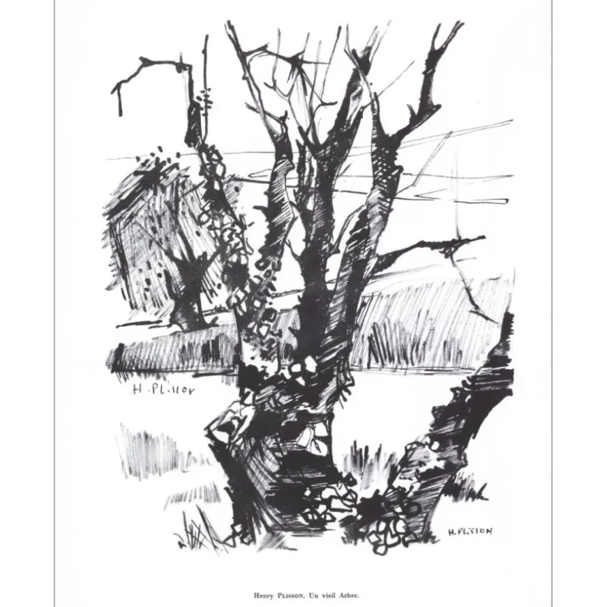 PLISSON Henri - Lithographie signée au crayon "Un vieil arbre" 27x21cm - 1961