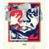 SHEPARD FAIREY (OBEY) - Sérigraphie Letterpress "Torn Icon" 33x26cm - 2025
