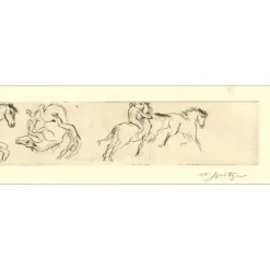SPITZER Walter - Gravure originale "Les chevaux, décomposition" 17x60cm
