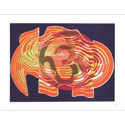 SRIVASTAVA Narendra - Lithographie originale "L'éléphant" 56x76cm